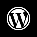 Wordpress expert best freelance digital marketer in sharjah